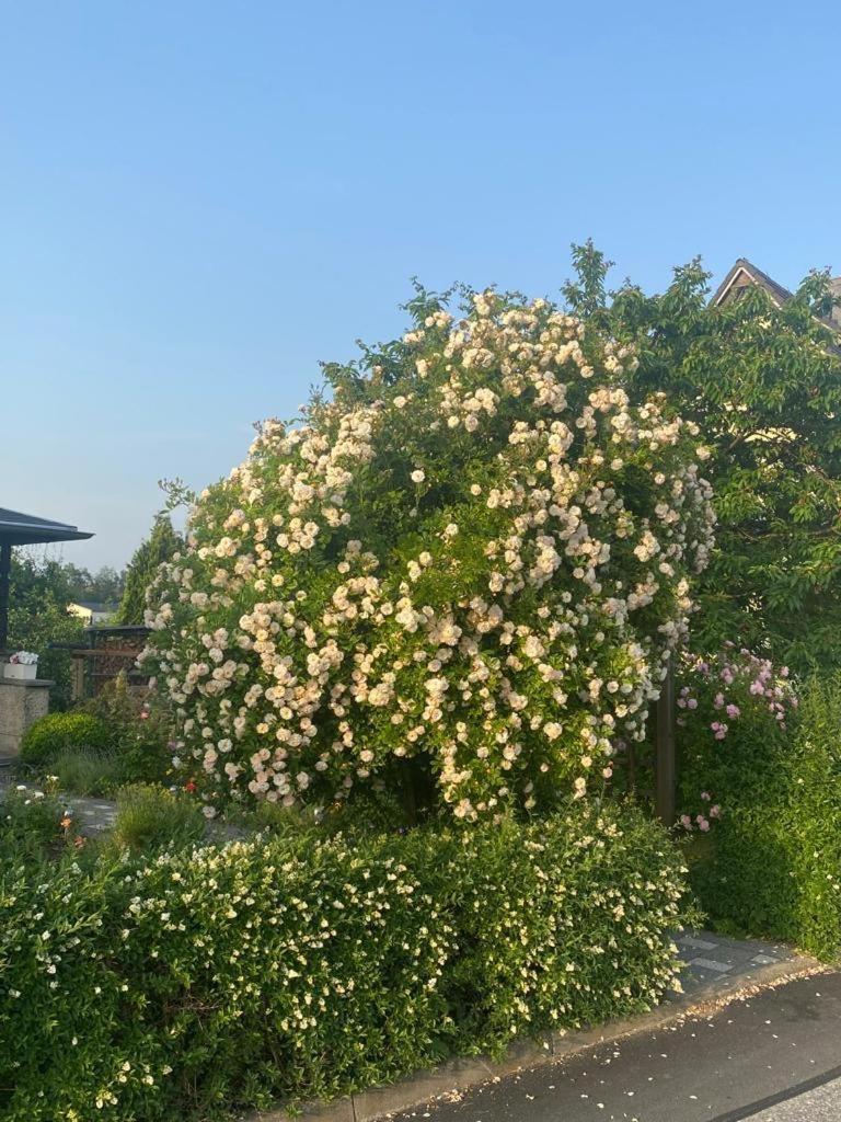 Ferienwohnung Hinterhermsdorf Glaser Sebnitz Exterior foto